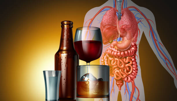 Alcohol Drinks And Health risk Drinking Health Danger concept as beer wine and spirits alcoholic glasses and bottle as a medical riskon the human body as cancer or dangerous health care risk of alcohol drinks with 3D illustration elements. cirrhosis stock pictures, royalty-free photos & images