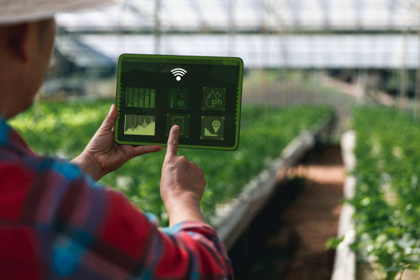 Smart farming and farm technology concept. Smart young asian farmer man using tablet to check quality and quantity of organic hydroponic vegetable garden at greenhouse in morning. stock photo