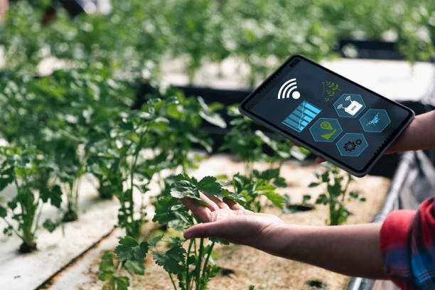istock Smart farming and farm technology concept. Smart young asian farmer man using tablet to check quality and quantity of organic hydroponic vegetable garden at greenhouse in morning. 1457513985