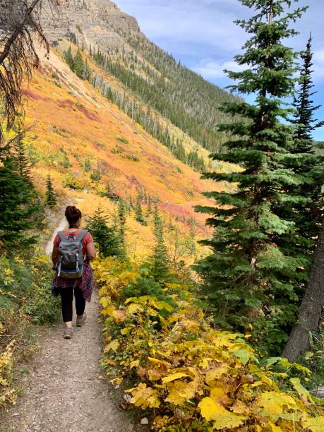 istock Woman Hiking on trail 1457514158