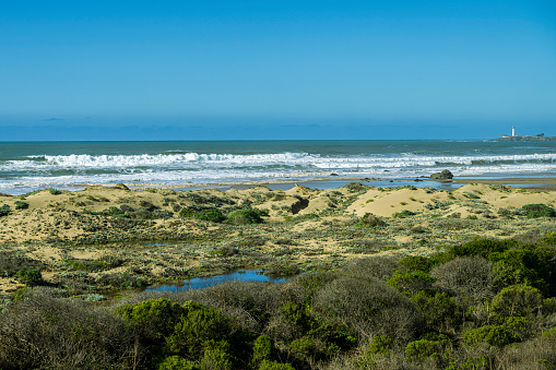 Wide View California shore with ocean waves breaking in the distance, with sand dunes in the foreground.\n\nTaken along Northern California, USA