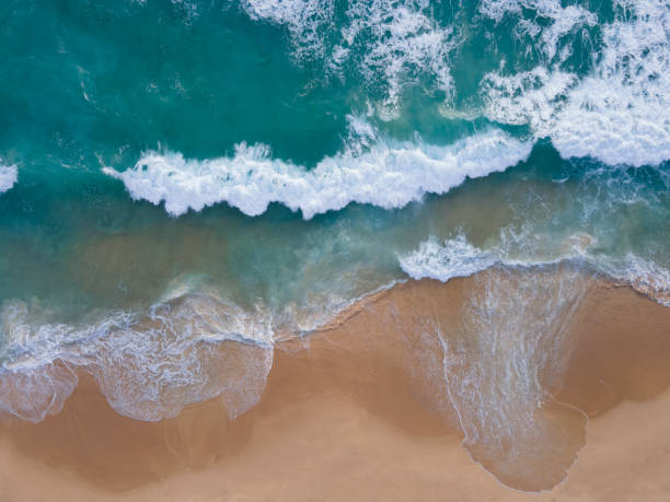 istock Top view tropical sea beach 1457516720