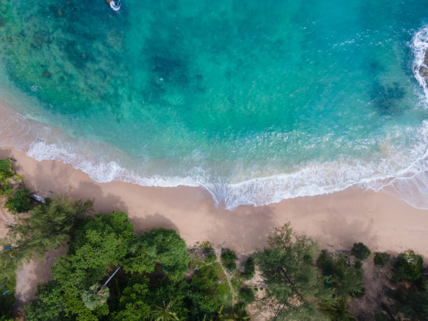 istock aerial view tropical sea Top-view 1457517025