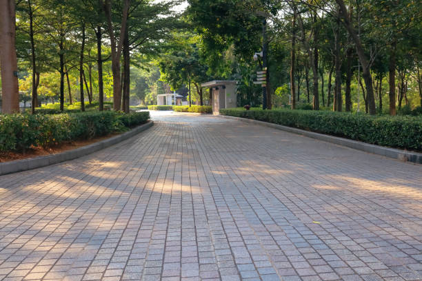 istock New pathway and beautiful trees track for walking 13 Sept 2022 1457519150