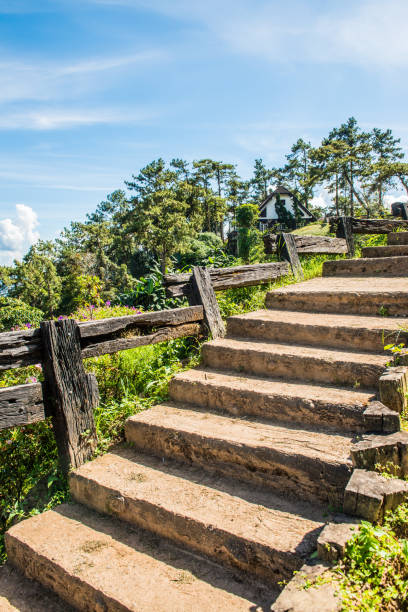 istock Concrete stair in national park 1457523224