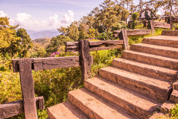 istock Concrete stair in national park 1457523242