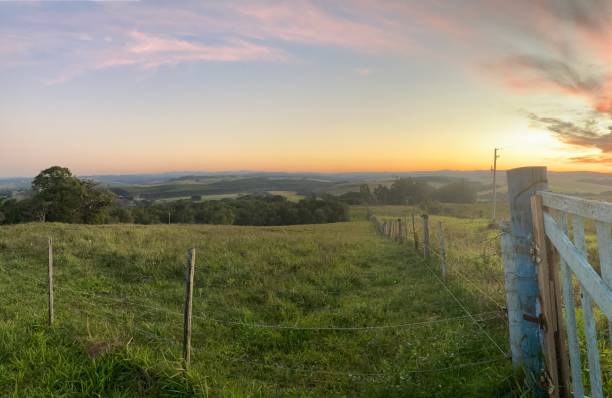 istock Sunset in the field with colored sky 1457523320