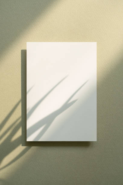 istock Plant Shadow and Card Mock-up 1457527121