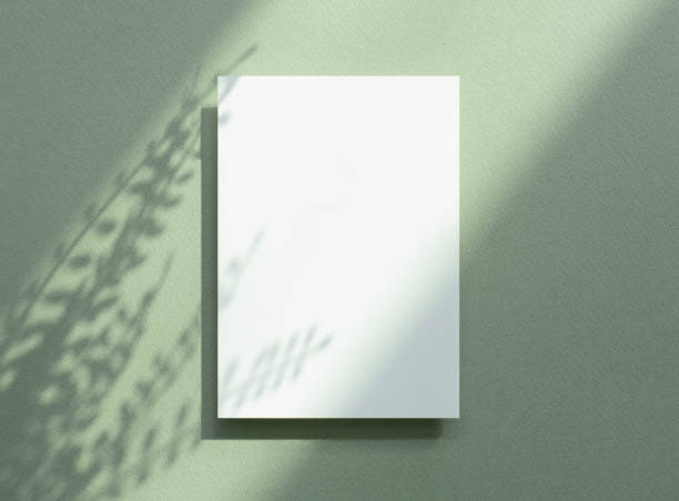 istock Plant Shadow and Card Mock-up 1457527124