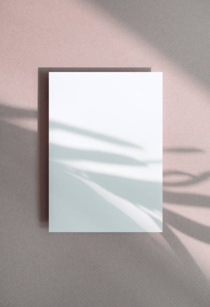 istock Plant Shadow and Card Mock-up 1457527126