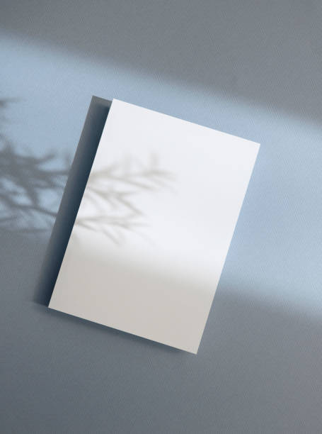 istock Plant Shadow and Card Mock-up 1457527135