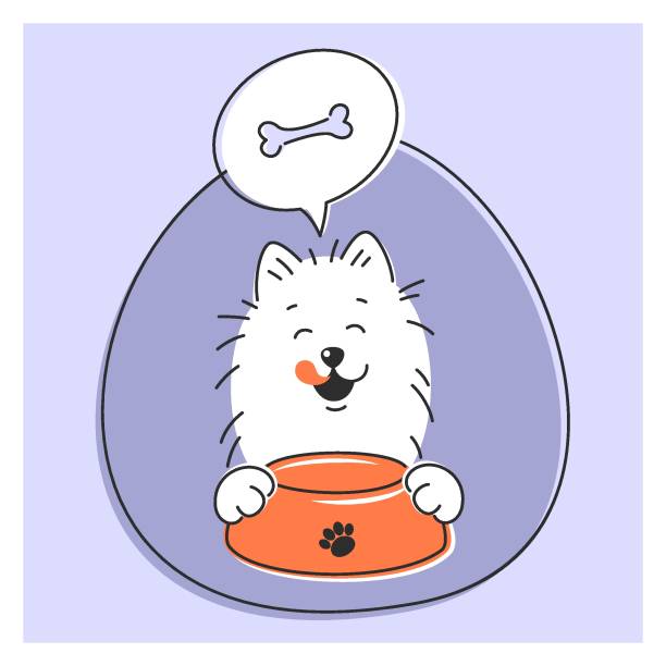 illustrazioni stock, clip art, cartoni animati e icone di tendenza di negozio di animali 03 - thought bubble dog dog bone cartoon