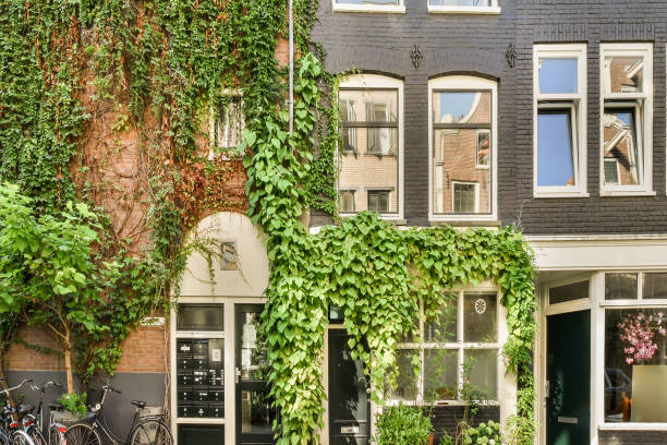 istock Exterior view of building 1457532298