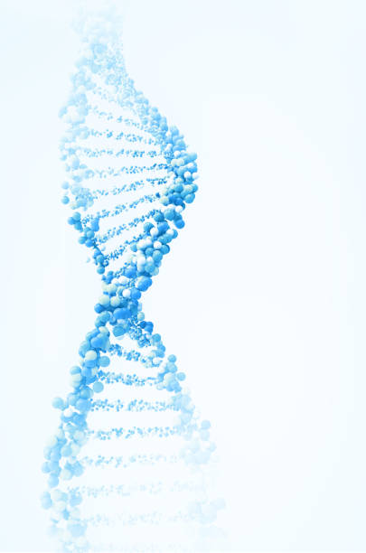 dna strand stock photo
