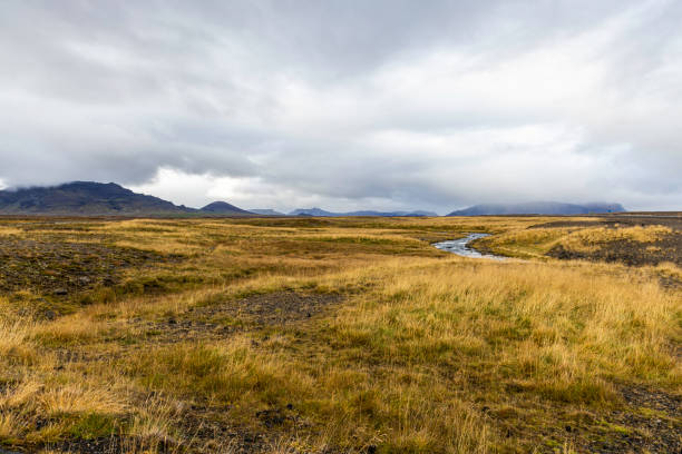 Vatnsnes is a peninsula jutting into Hunafloi in northern Iceland. It is surrounded by the waters of Miofjorour on the west and Hunafjorour on the east. It is home to one of the largest seal colonies in Iceland.