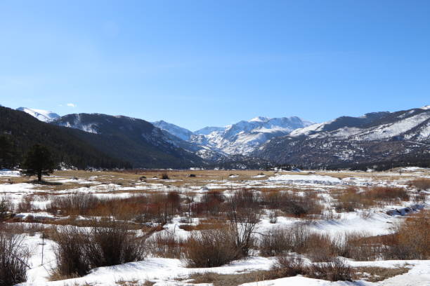 istock Frozen Moraine Meadow at Rocky Mountain National Park 1457534576