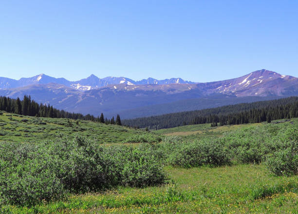 istock Colorado meadow with mountain peaks 1457538743
