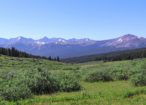 Colorado meadow with mountain peaks