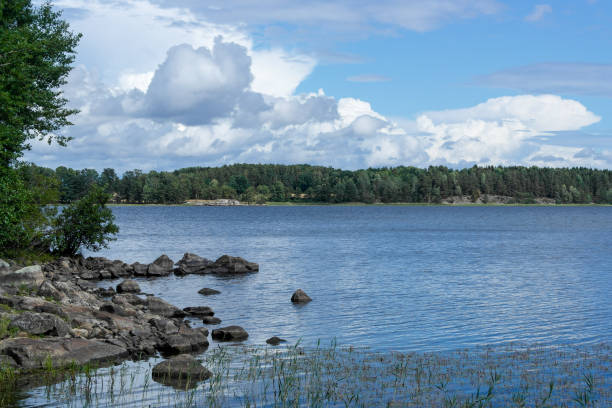 istock Scenic view of a lake against sky during summer 1457541743