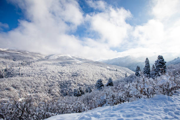 istock Snow scapes on a blue sky day 1457543392