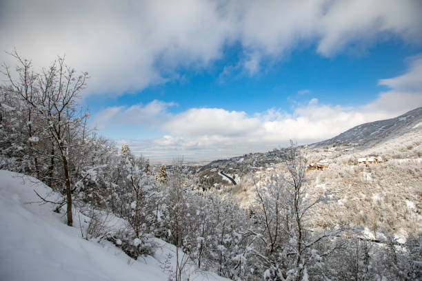 istock Snow scapes on a blue sky day 1457543435