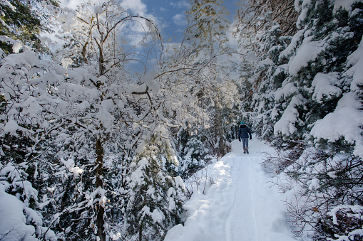 Female hiking on a snow covered trail in the mountains on a sunny day