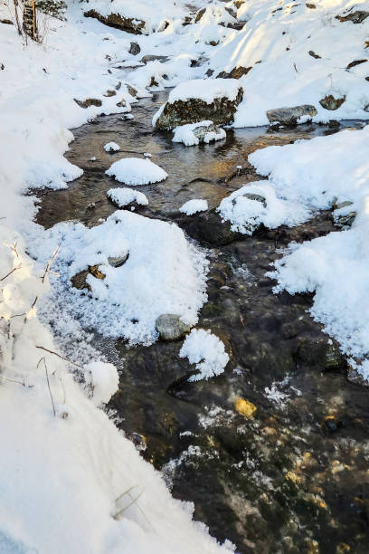 istock river in winter. Winter river in snow forest landscape. 1457544557