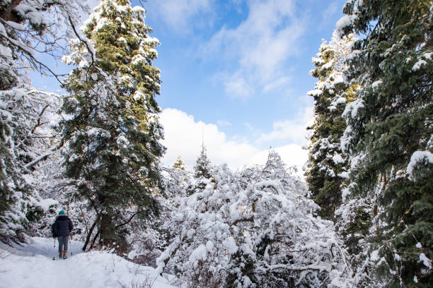 Female hiking on a snow covered trail in the mountains on a sunny day