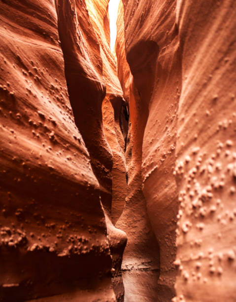 istock Beautiful Coyote Gulch,Utah  pictures 1457546211