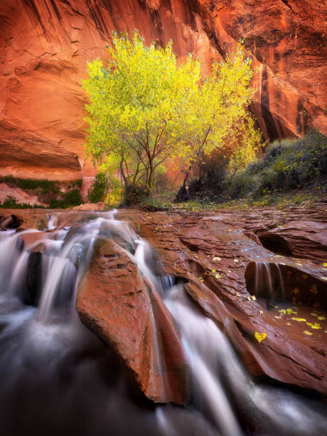 istock Beautiful Coyote Gulch,Utah  pictures 1457546268