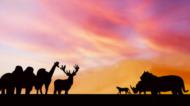 istock The wild life silhouette in twilight sky 3d rendering 1457547009