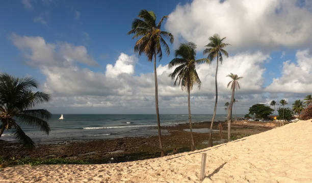 istock Tropical beach with sailboat 1457556679