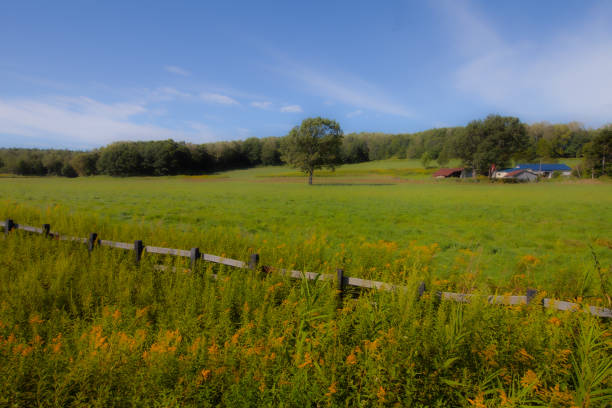 istock Afternoon at a ranch with big trees 1457556861