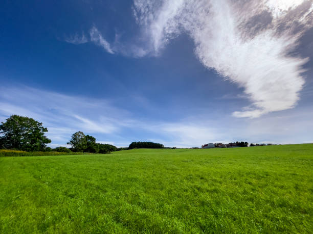 istock Lush meadows and majestic sky and clouds 1457557105