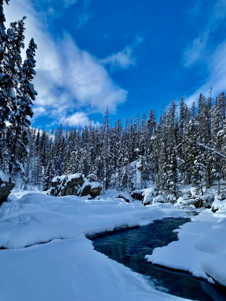 istock Frozen River Snow Scene in Forest 1457560158