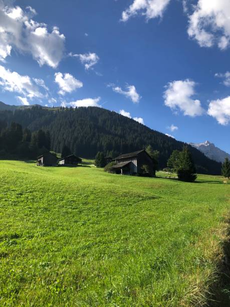 istock Alpine landscape with forest and hay barn in summer 1457561086