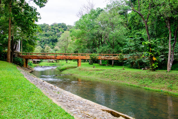 Landscape of Phu Sang National Park, Phayao Province.