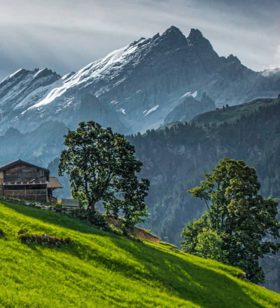 Magical Gimmelwald pictures