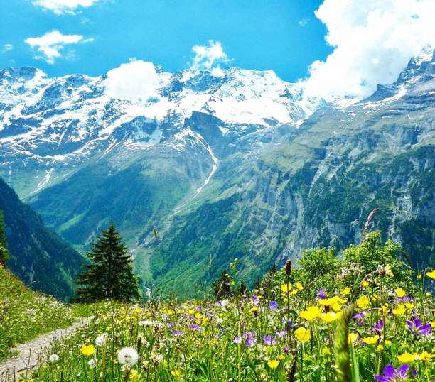 istock Beautiful Gimmelwald pictures 1457571629