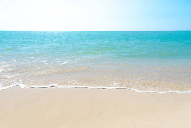 istock Blue sea and white beach on a clear day 1457573923