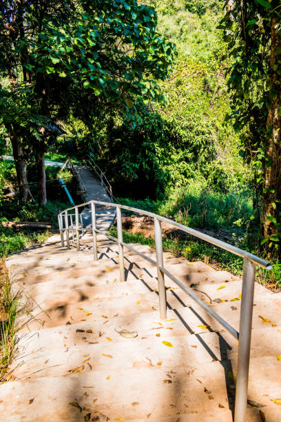 Concrete stair in national park, Thailand.