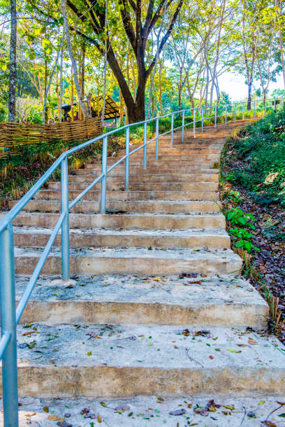 istock Concrete stair in national park 1457575171