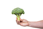 broccoli green vegetable in hand isolated on white background