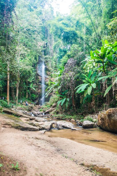 istock Mork Fa waterfall at Chiangmai province 1457578239