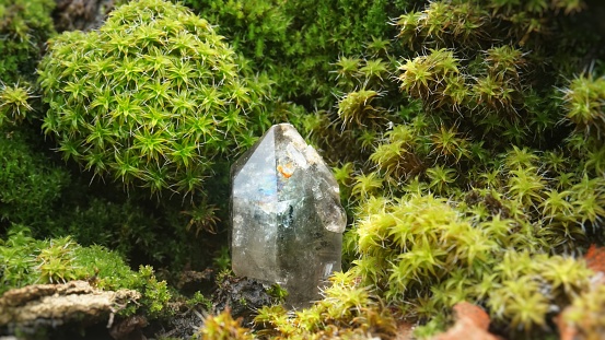 Quartz mineral among moss