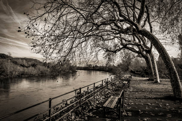 the banks of the Dordogne in black and white paysage en noir et blanc des bords de la rivière Dordogne en hiver image en noir et blanc stock pictures, royalty-free photos & images