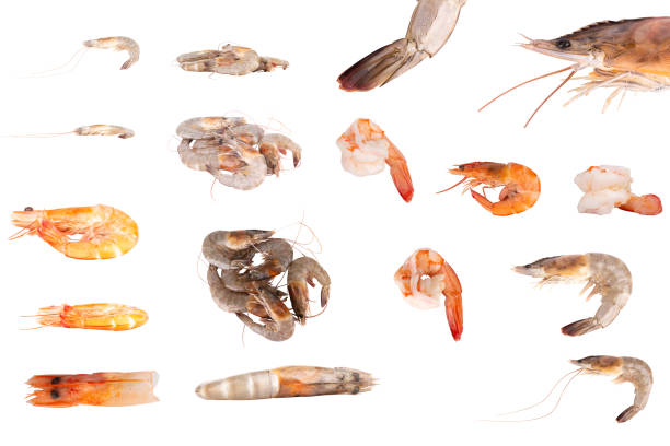 fresh shrimp cuisine food isolated on white background.
