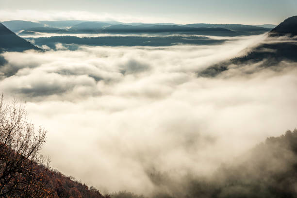 le brouillard en hiver dans les Cévennes