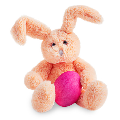 Single cute fluffy bunny rabbit toy sitting and holding of boiled bright painted easter egg of pink colour isolated on white background as gift for celebration of  Resurrection Sunday at spring