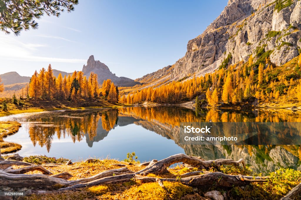 Sunny autumn day at beautiful mountain lake Awesome sunny autumn day in the dolomites, south tyrol, italy, at mountain lake surrounded by orange, golden, yellow colored larch trees, reflections in the water Landscape - Scenery Stock Photo